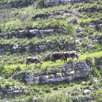 Photo de Sicile - La Sicile